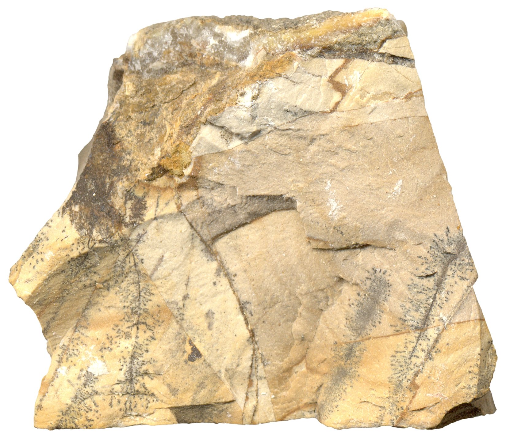 Calcaria