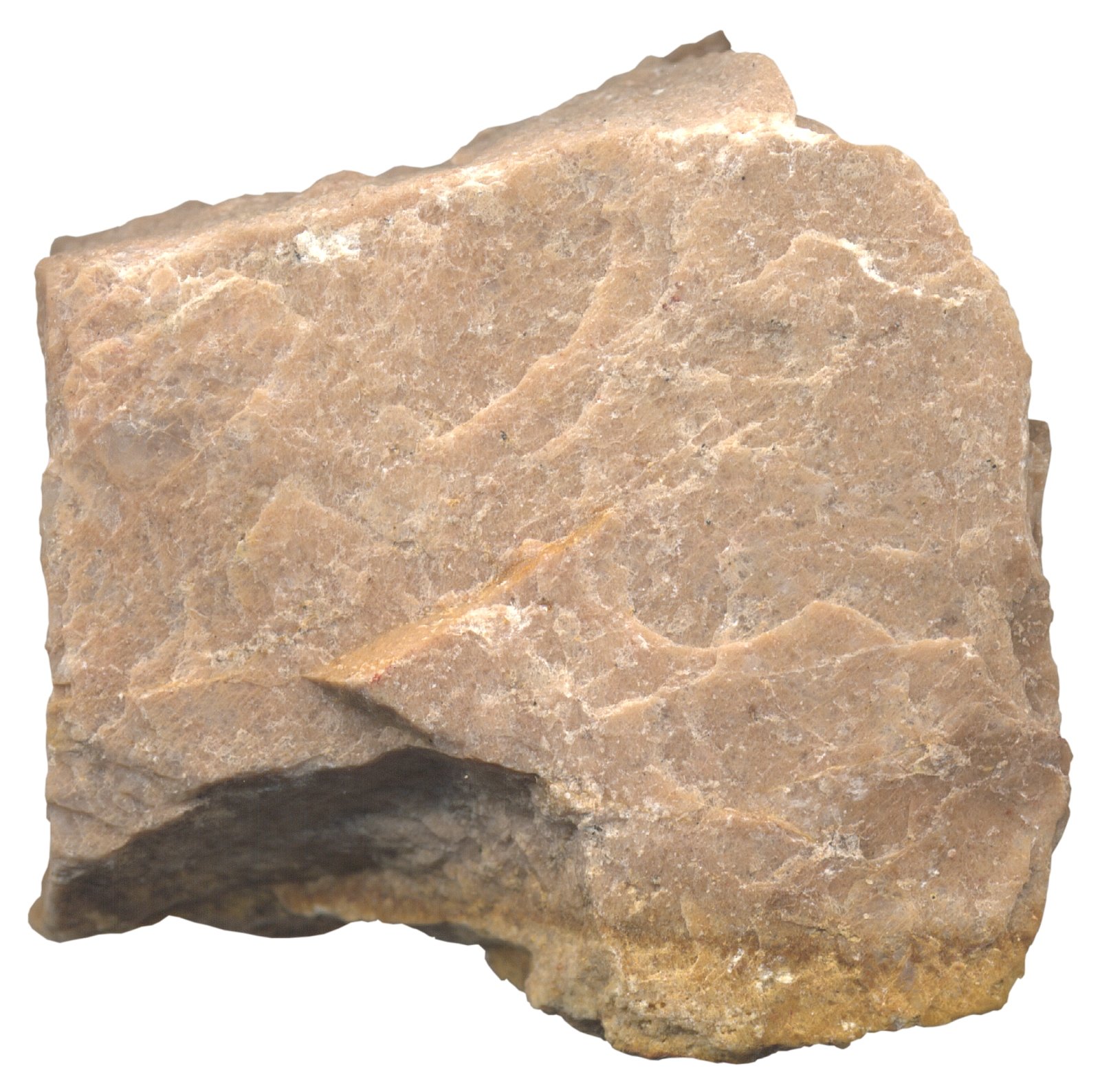 Ortosa