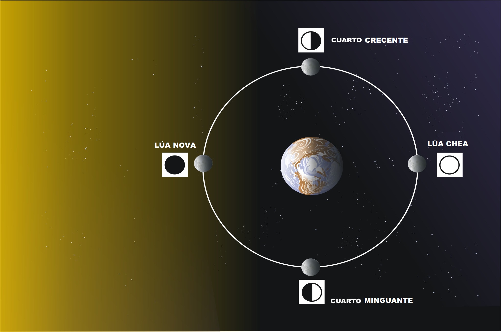 Fases lunares Fases lunares