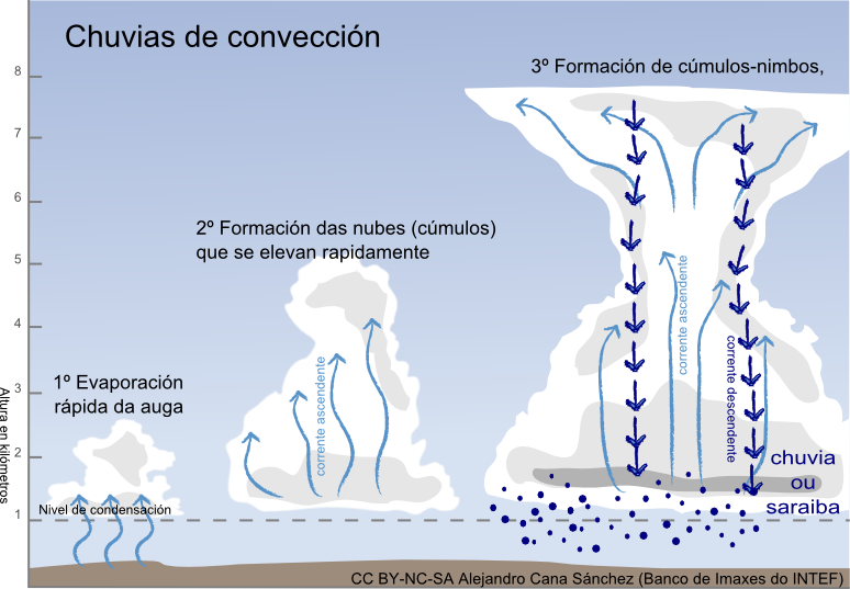 Chuvias de convección