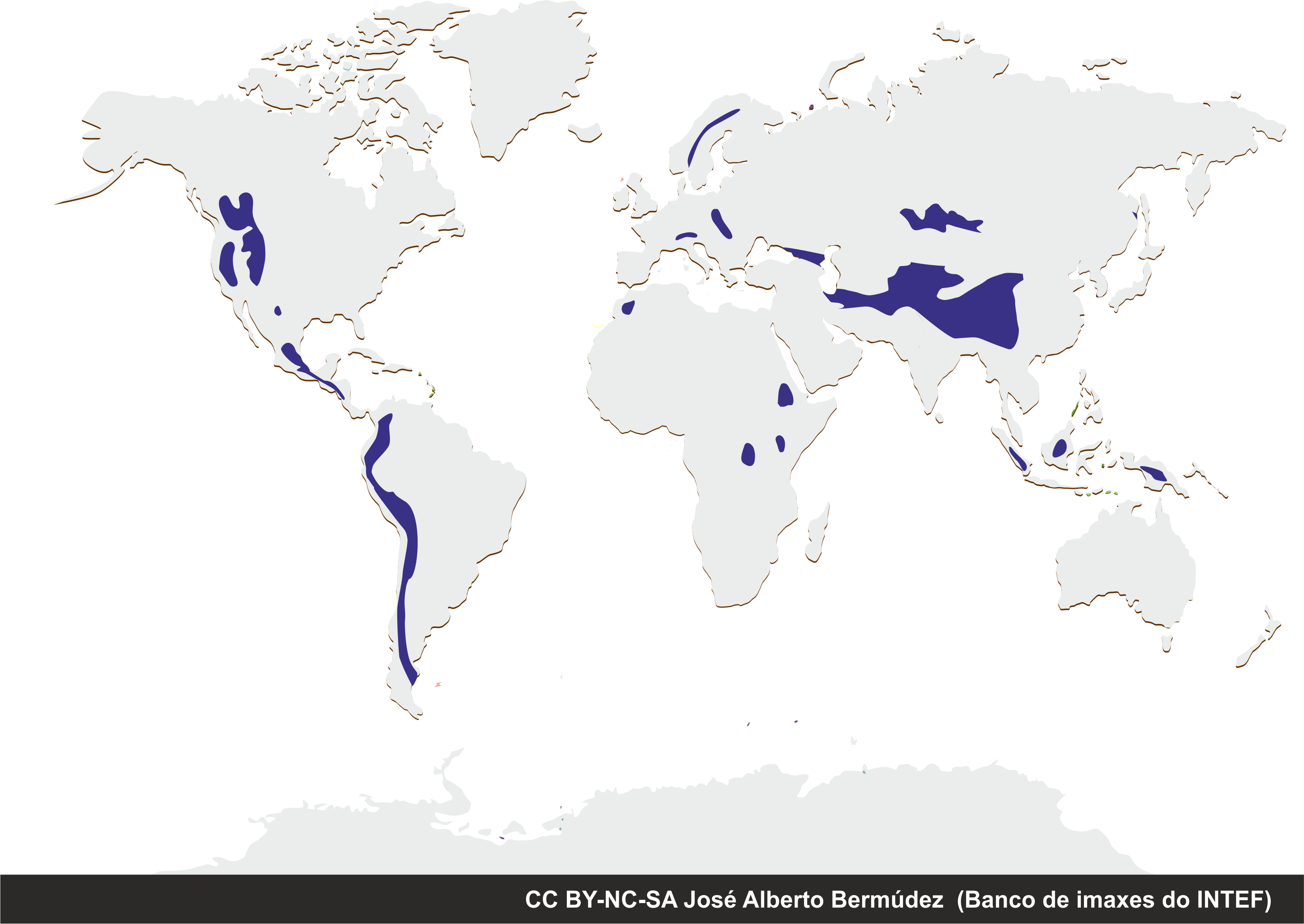 Clima de alta montaña