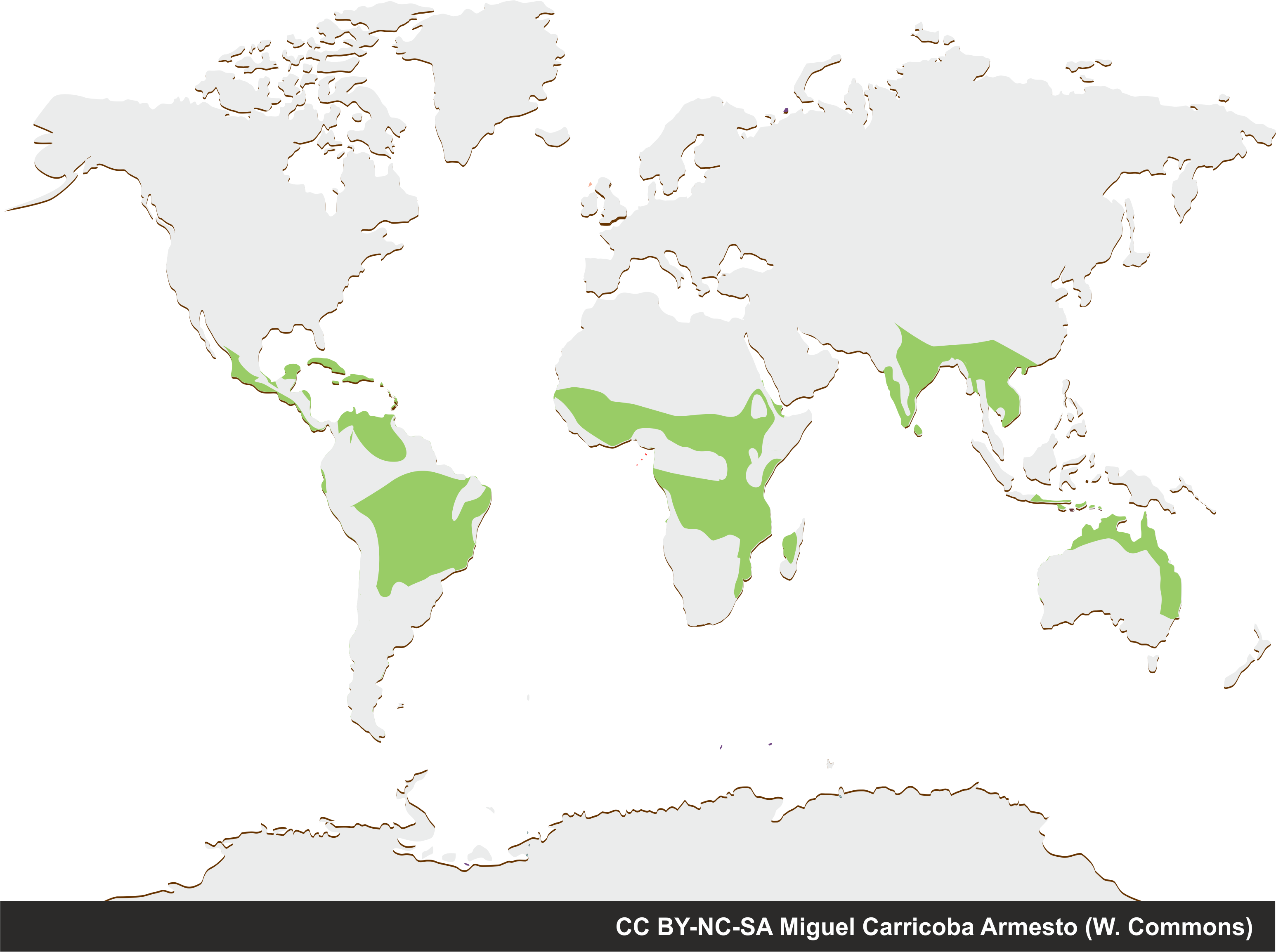 Clima tropical chuvioso