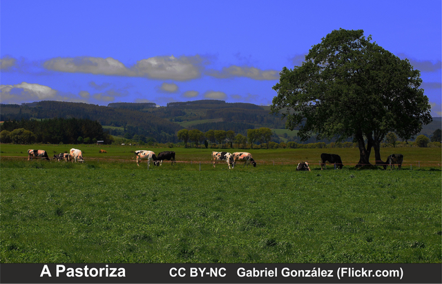 A Pastoriza