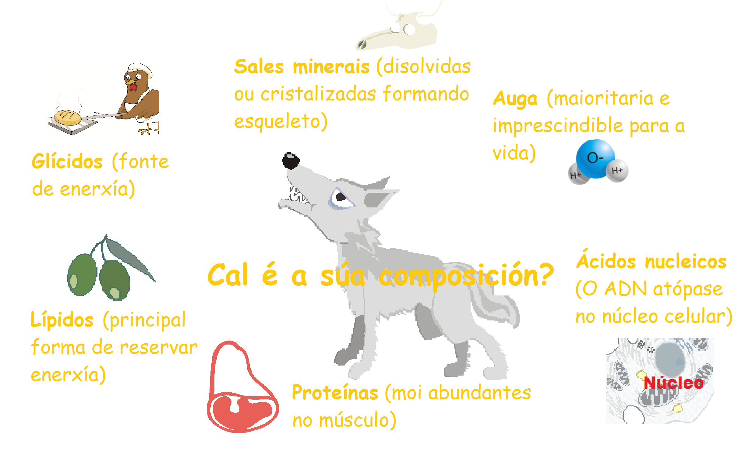 Composición da materia viva