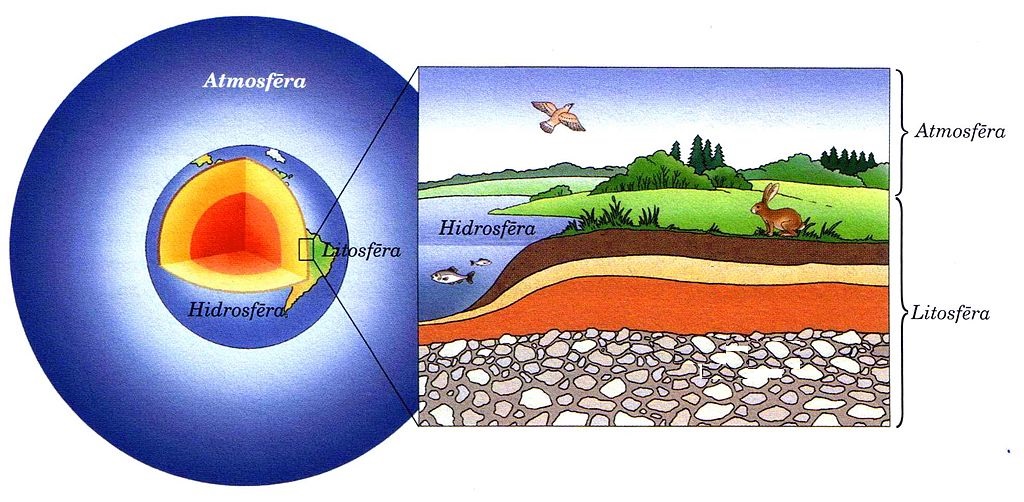 Localización da vida no planeta