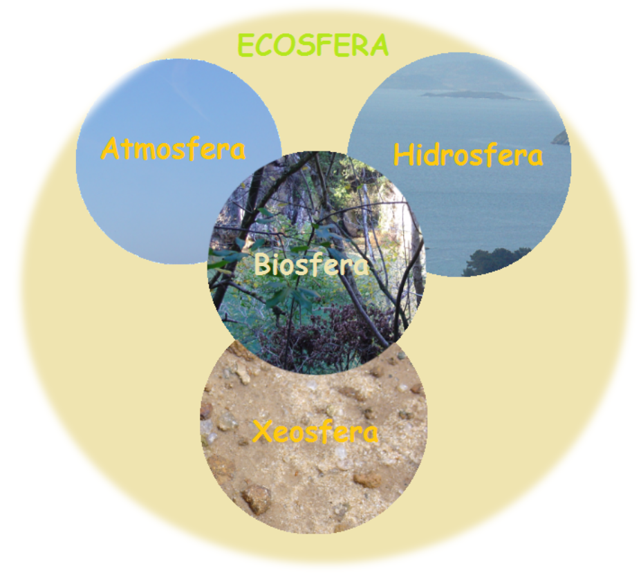 Biosfera