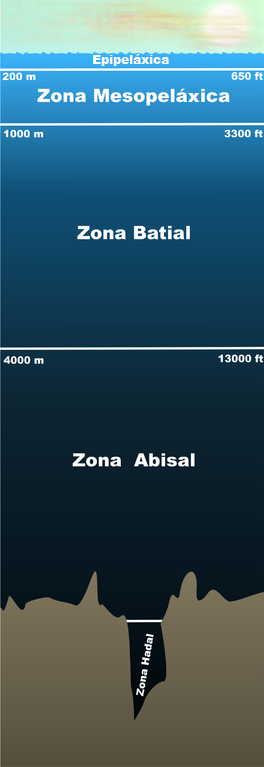 Zonas mariñas segundo as condicións de luz