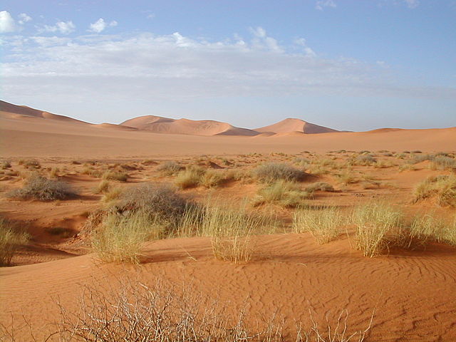 Deserto