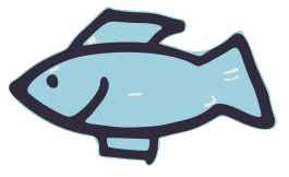 debuxo dun peixe, ornamental