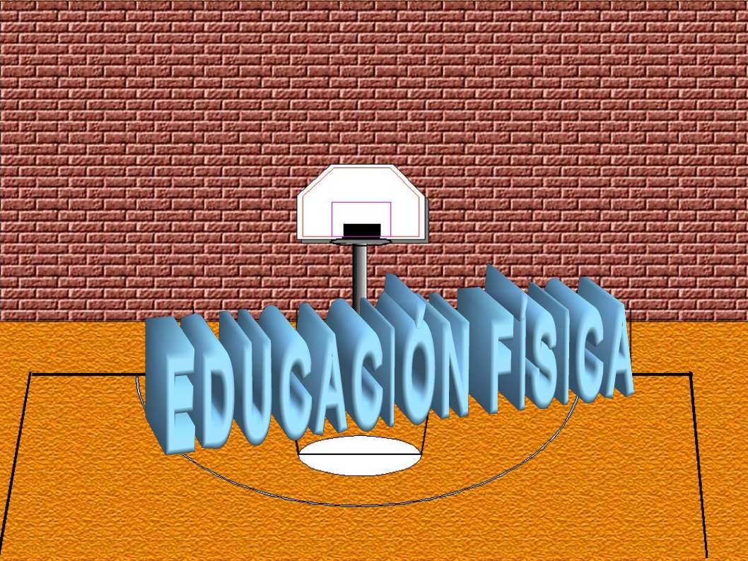 Enlace educación física