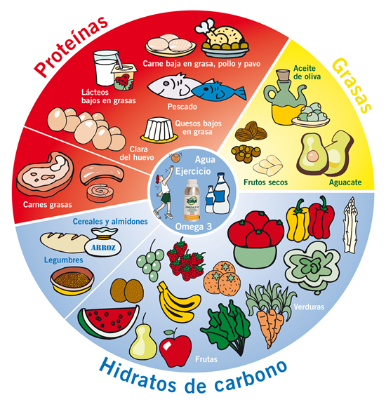 roda dos alimentos