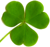 trebol