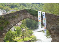 Navia
