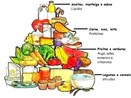 Ilustración 5. Grupos de alimentos e biomoléculas máis abundantes na súa composición. Modificado deNagagym Commons.wikimedia.org