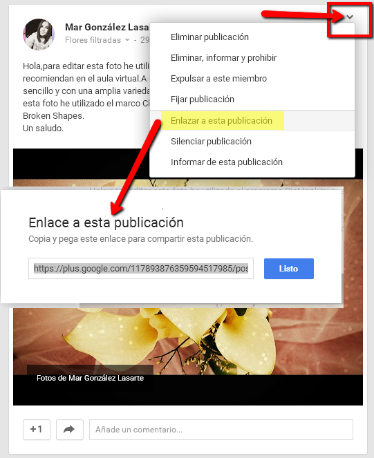 Instrucións para obter o enlace a unha publicación de G+