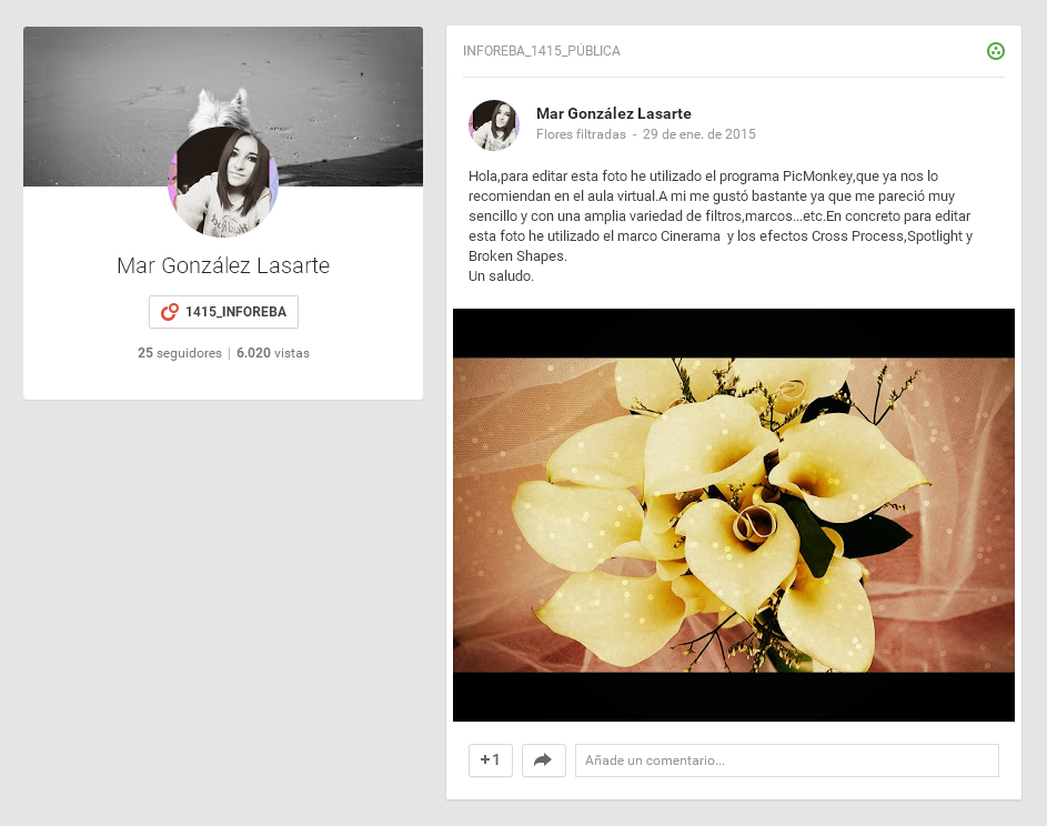 Publicación en G+ da tarefa.