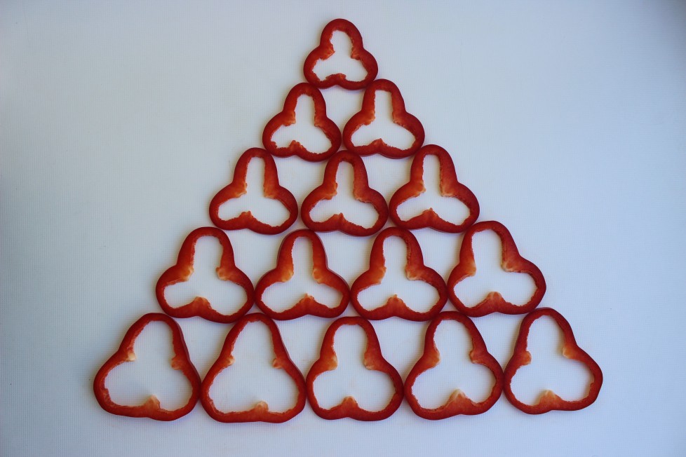 ganadora feria matemática