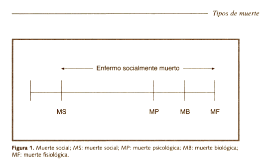 morte social morte social