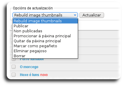 Opcións de actualización Opcións de actualización