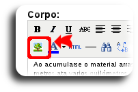 Botón inserir imaxe Botón inserir imaxe