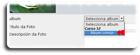 Selección do álbum de destino Selección do álbum de destino