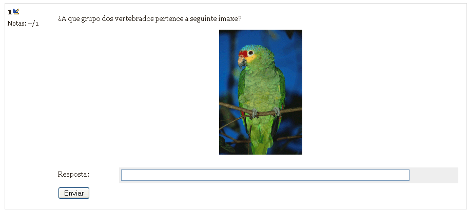 resposta curta resposta curta