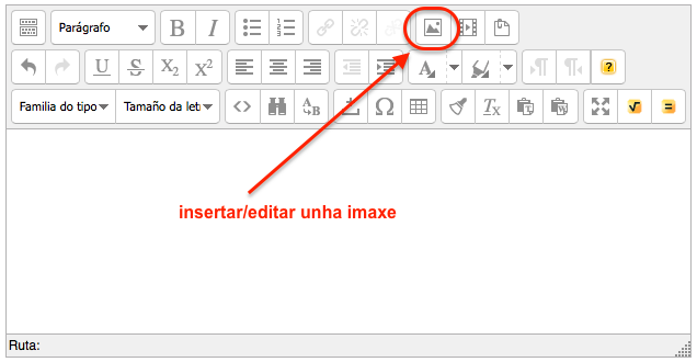 Insertar/editar unha imaxe