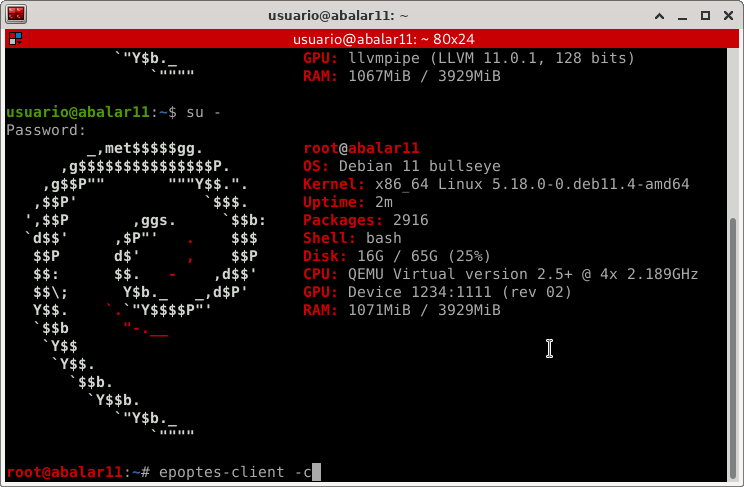 descargar certificado