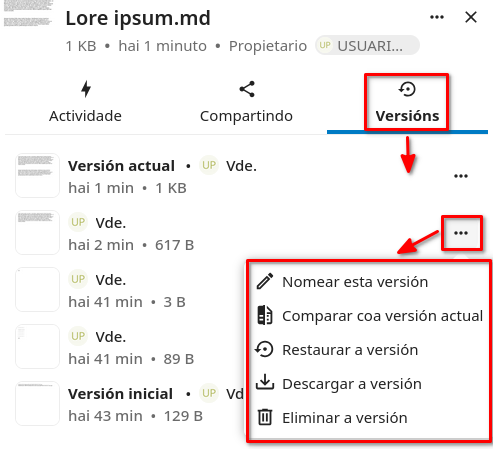 Versións
