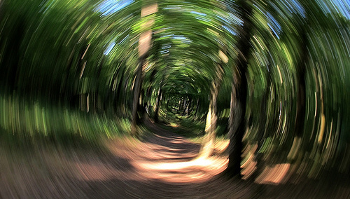 obxectivos http://www.flickr.com/photos/photonquantique/5892797393/