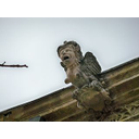 Harpie. Détail de la facade de l'hotel Mondragon. Saint Remy de Provence.