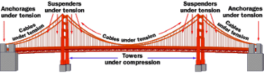Forces in a suspension bridge Forces in a suspension bridge