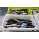 Pescado de venta al peso II