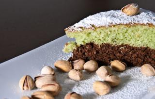 Imagen de un bizcho bicolor