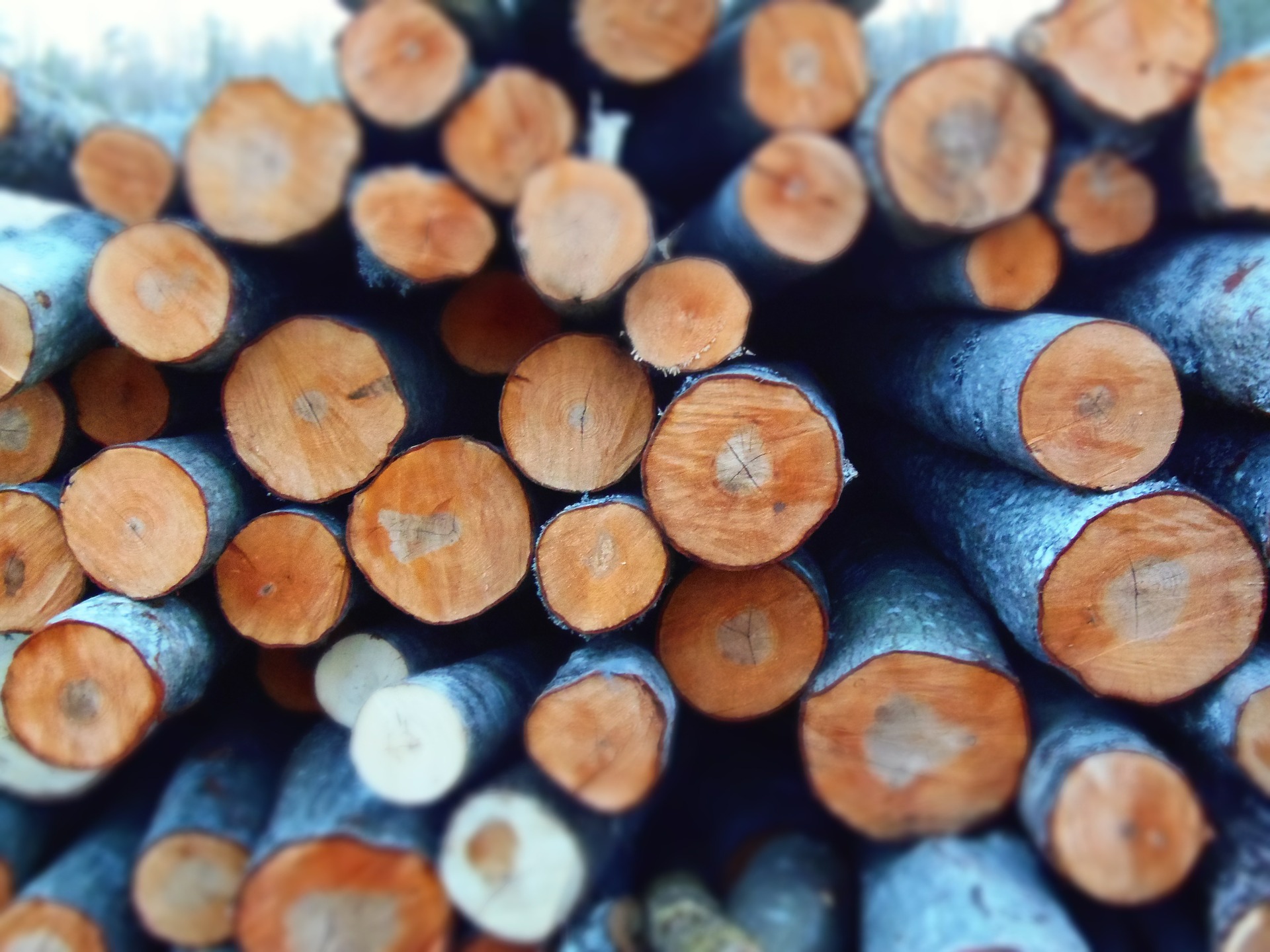 Imagen de troncos apilados