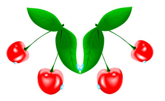 Ilustración de una composición simétrica con cerezas