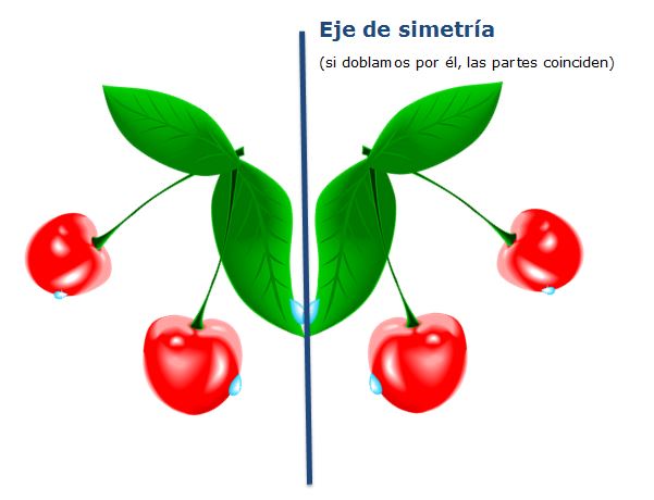 Ilustración de una composición simétrica con cerezas y eje de simetría dibujado