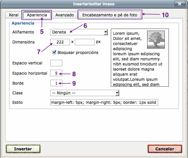 Inserir imaxes, lapela Apariencia. Indícanse os pasos necesarios. Inserir imaxes, lapela Apariencia. Indícanse os pasos necesarios.