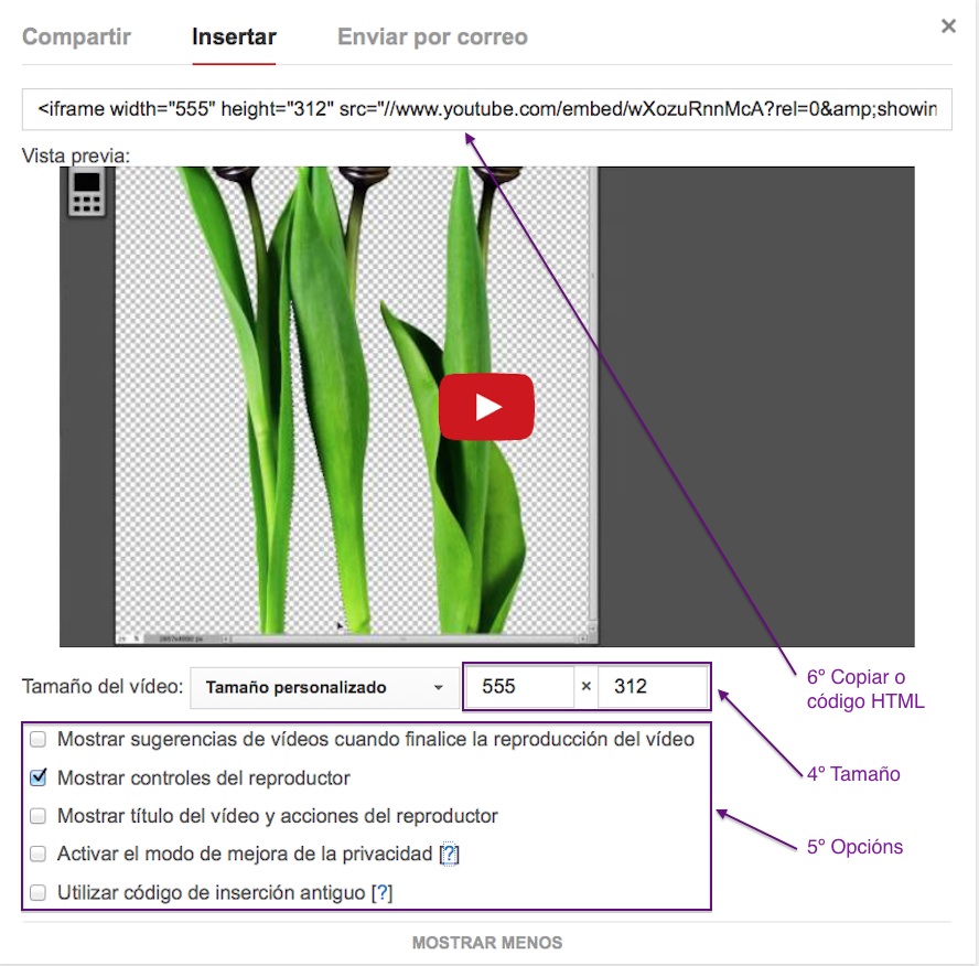 Imaxe. Embeber un video de youtube.