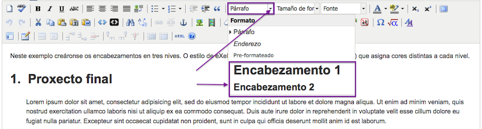 Imaxe sinalando as ferramentas do editor de texto de eXeLearnig para xerar parágrafos.