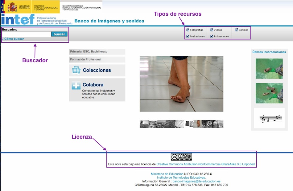 Busca de REA no banco do INTEF