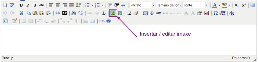 Imaxe do editor de iDevices sinalándose a icona para insertar imaxes.