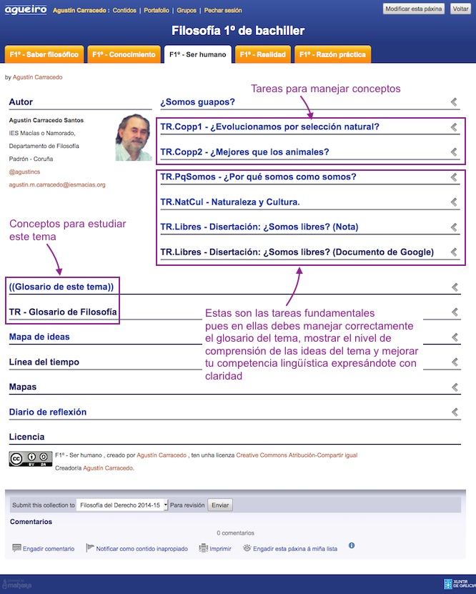 Imagen de un portafolio creado en Agueiro