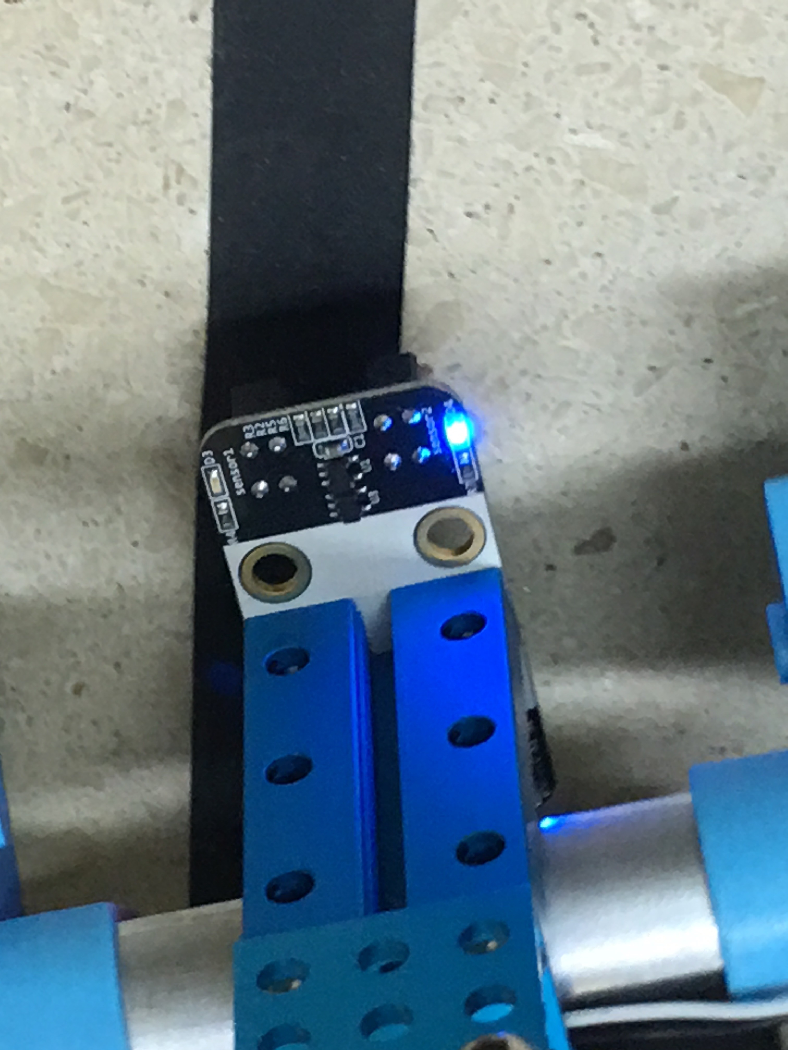 segueliñas sae dereita