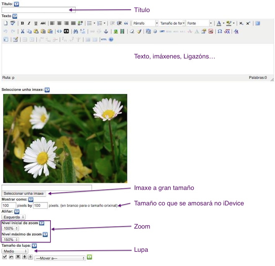 Captura de pantalla do iDevice Ampliador de imaxe.