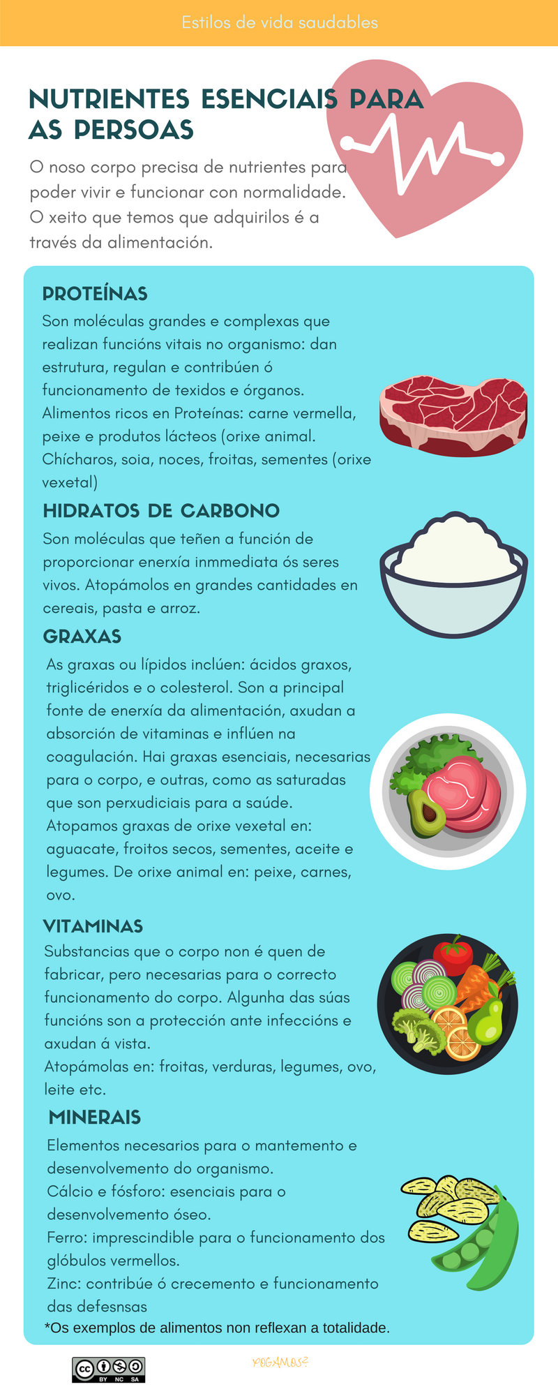 Apuntamentos: Os nutrientes