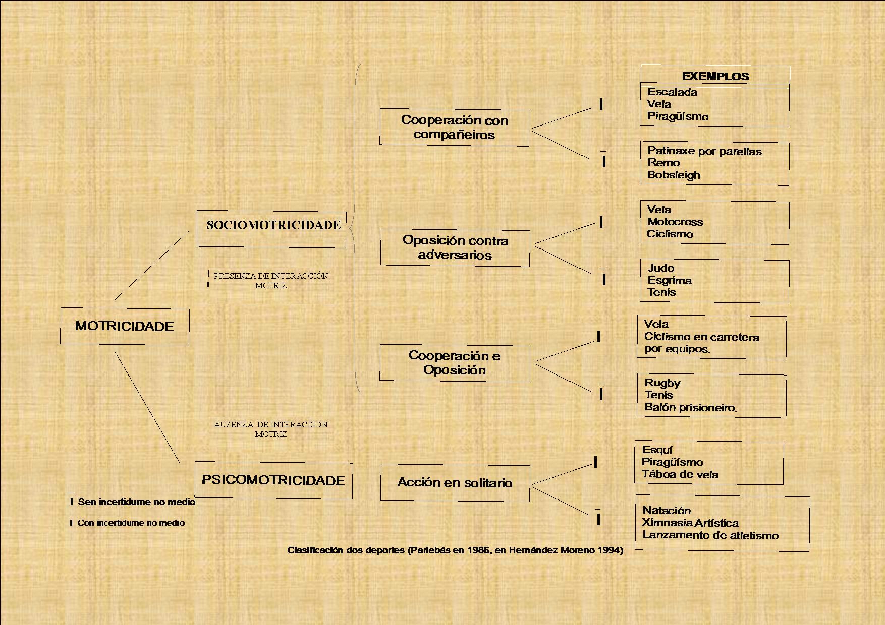 CLASIFICACIÓN DEPORTE