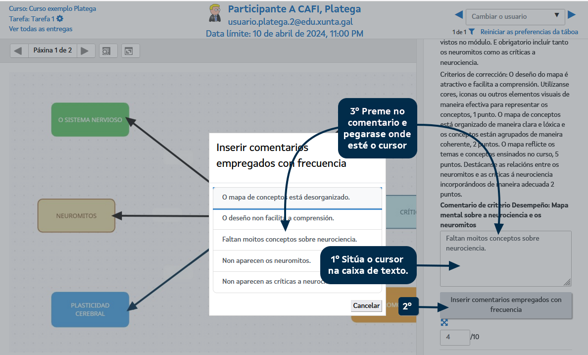 Comentario frecuente nun desempeño Comentario frecuente nun desempeño