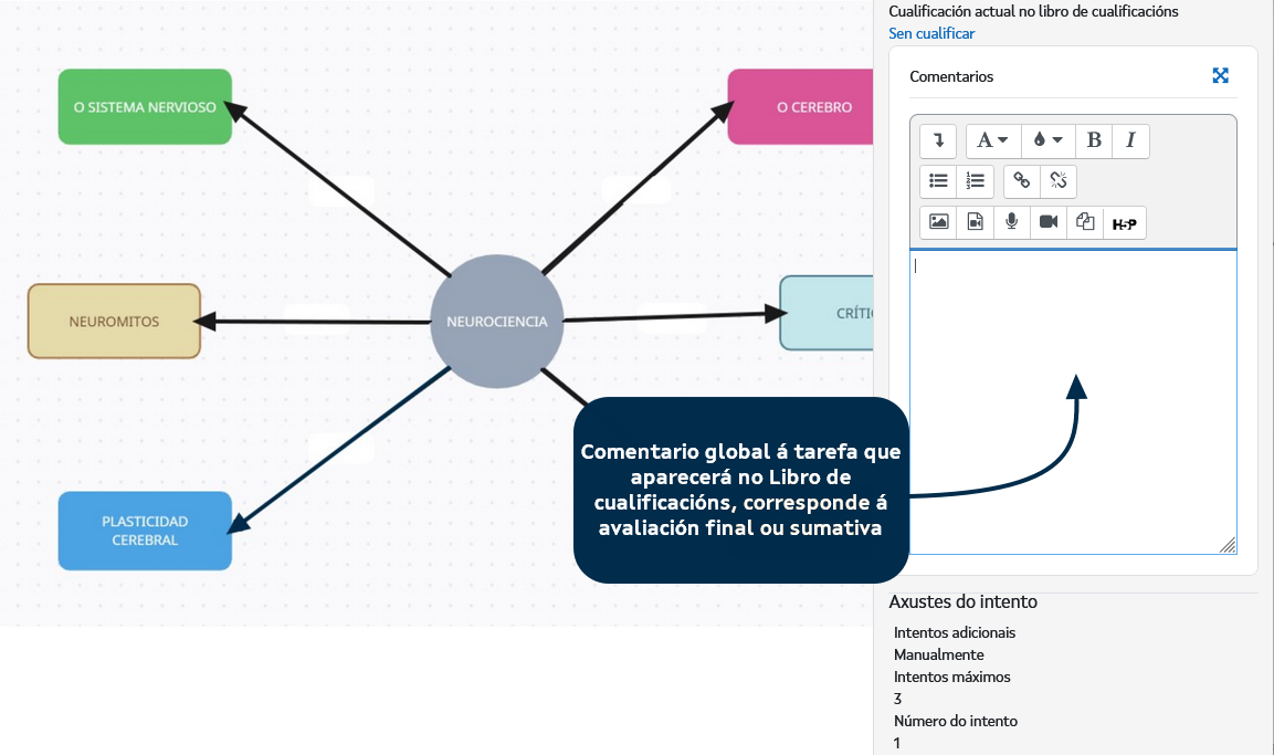 Caixa de texto para o comentario global da tarefa.