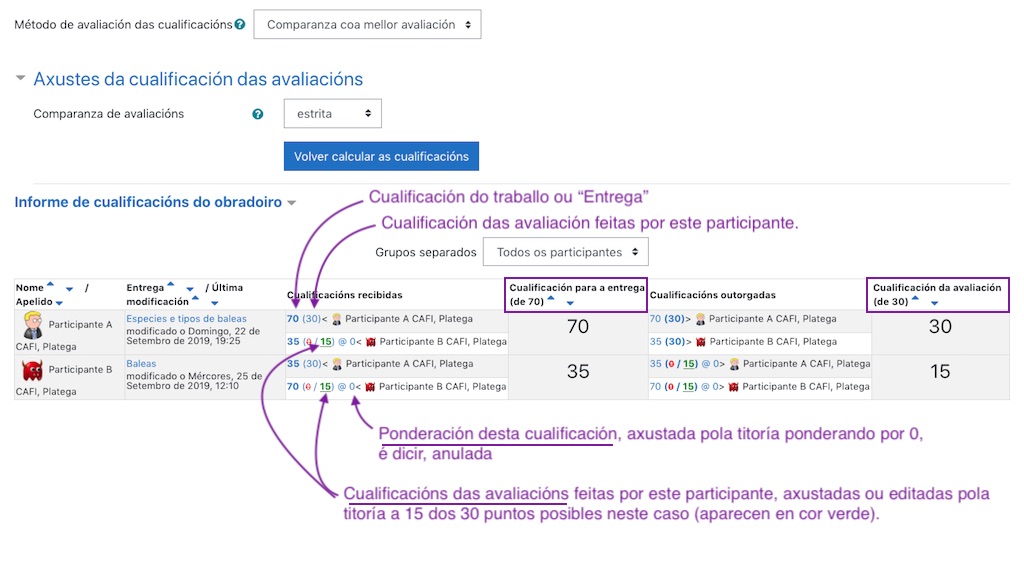 Cualificacións dun obradoiro revisadas